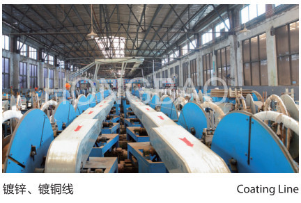 Jiangsu Hongbao Group Co., Ltd.