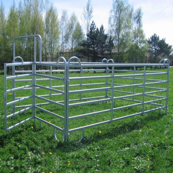 Farm1.8m Square Tube Cattle Panel Fence Galvanized Customized