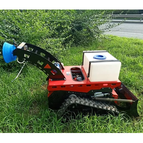 Weed Remover Agricultural Lawn Mower TUV Walk Behind Mower 550mm