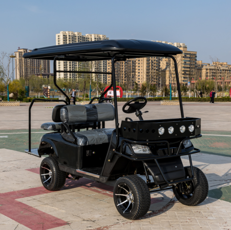 2+2 Человек Современная Гольф-Торба Быстрая Электрическая Мини-Мобильность Рулевое управление Охотничье Гольф-Торба Оптовая продажа
