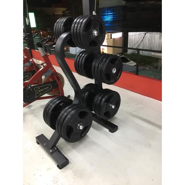 Befreeman Venta caliente Gimnasio Equipo de ejercicios de peso