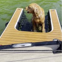 Logotipo personalizadoEscada inflável de barco para cães Plataforma de rampas de escalada de água inflável para cães