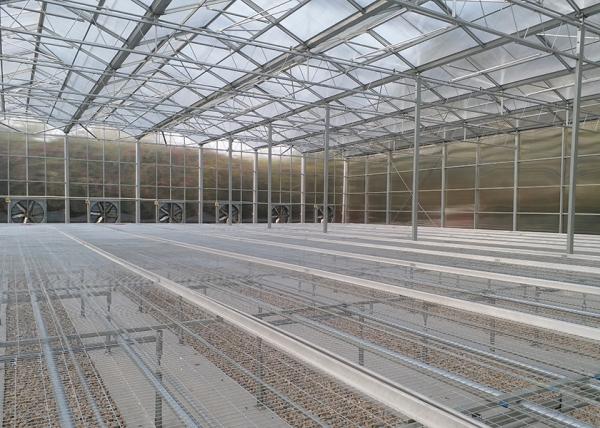 WL108Y Large IGreen Polycarbonate Panels Customized Length for Greenhouse