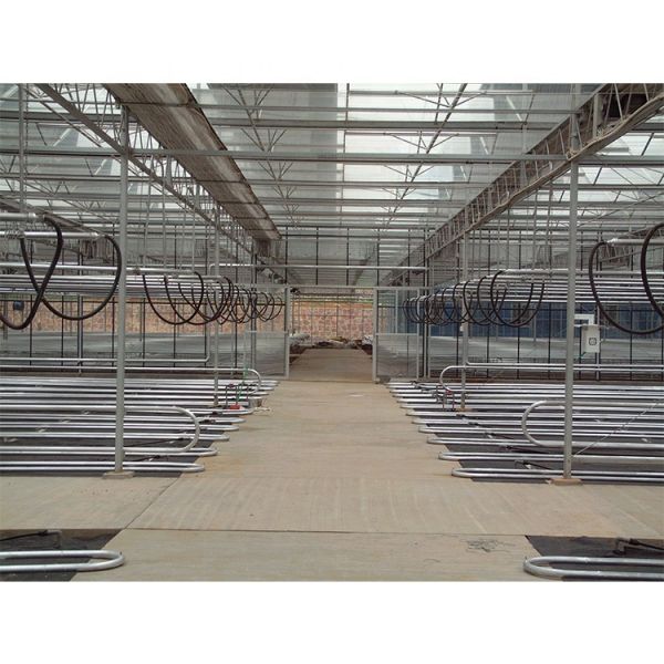 Galvanized Steel Pipe Multi Span Greenhouse Vegetable Greenhouse Kits For Winter Cover