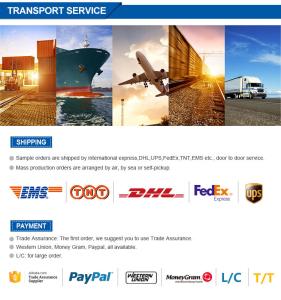 Henan Bingsheng Industrial Co., Ltd.