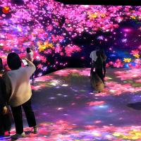 Équipement interactif de jeu de projection d'enfant de l'AR de projection de mur de terrain de jeu d'intérieur