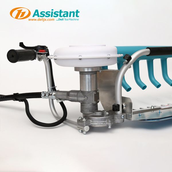 Tea Plucking DL-4Cd-60 Tea Harvester with 36V 20AH Lithium Battery and Electric Drive