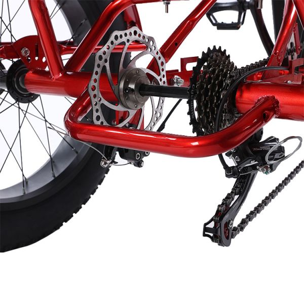 Frente 24 trasero 20 neumáticos de nieve Triciclo eléctrico con SHIMANO trasero de 7 velocidades y batería 48V15A