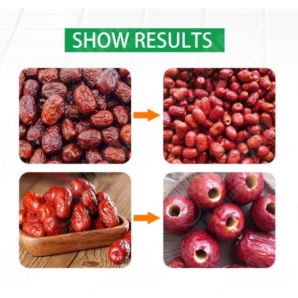 Electric cherry pitting machine pitter cherry pit remove machine