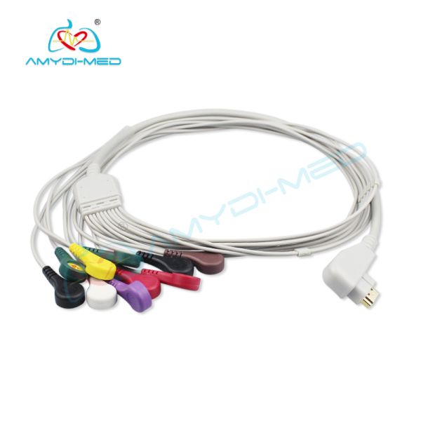 Medical Holter Cable DMS 300-3A 10 Leadwires Holter ECG Cable Surgical Suppliers