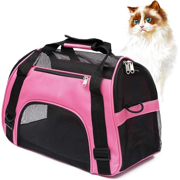 Comfortable Cat Outing Travel Box Metal Frame and Breathable Comfort for Adventures