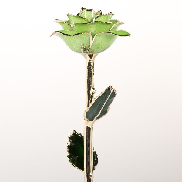 24K Gold Plated Rose Gifts Wholesale Preserved Factory  Gold Rose