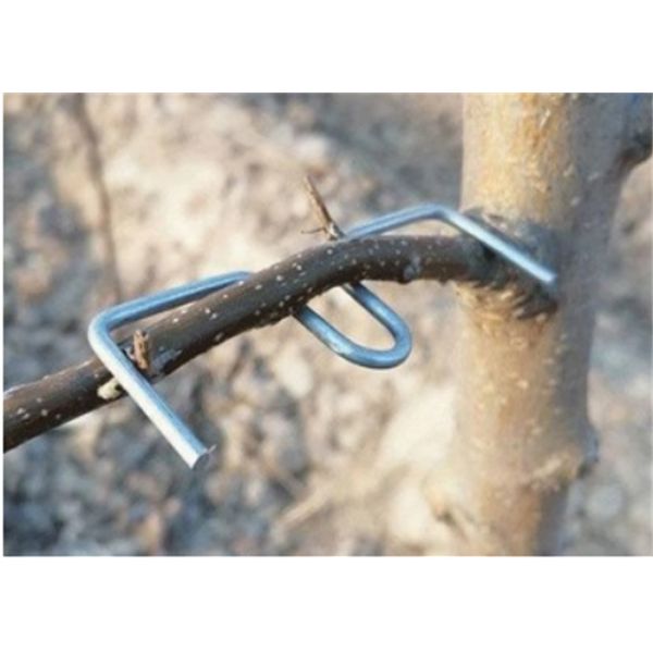 13CM Length Galvanized Steel Wire Tree Branch Pressing Tool Anti-Rust Fruit Tree Support Tool