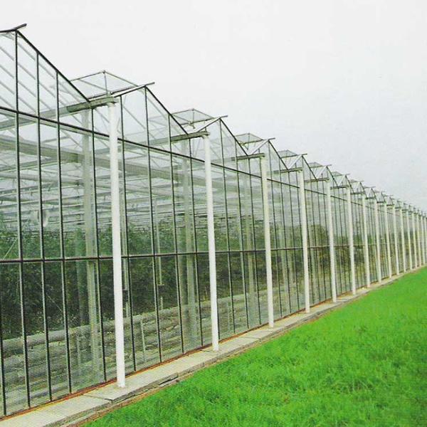 Advanced Glass Greenhouse For Optimal Light Transmission And Heat Preservation