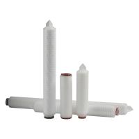 Pharmaceutical Industry PP Pleated 0.45 Micron PES Filters Cartridge