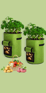 Fabric Raised Garden Bed 6x3x1ft Garden Grow Bed Bags for Growing Herbs, Flowers and Vegetables 128 Gallon