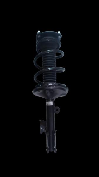 TB066 924212 Absorvedor de choque de suspensão para BYD S6 Frente esquerda