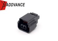 201861-0020 Connecteur femelle imperméable des véhicules à moteur de Molex électrique 2 bornes pour la voiture