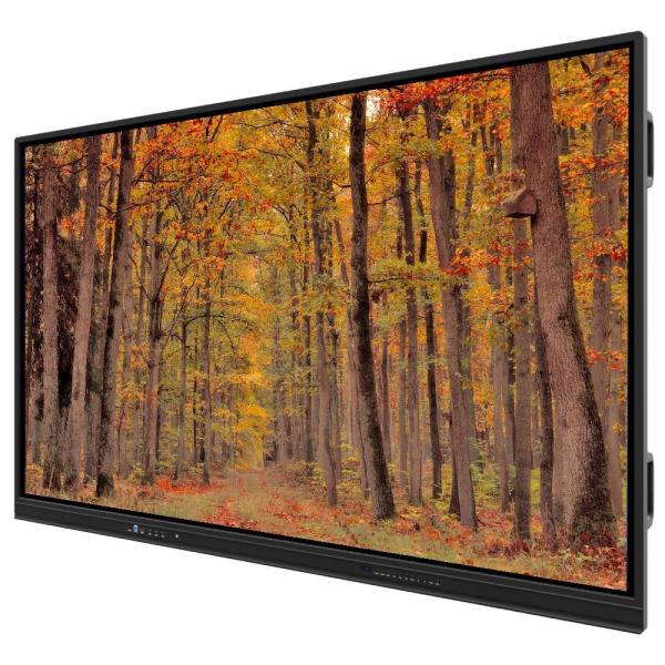 55 inch Interactive Flat Panel Smart Touch screen