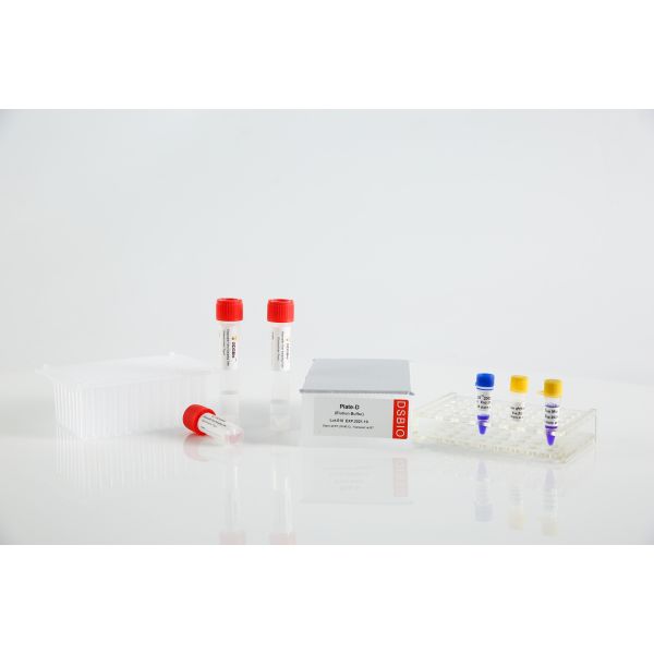 Смешивание 30UL/Rxn RT QPCR шага V5002 5000rxn одного мастерское