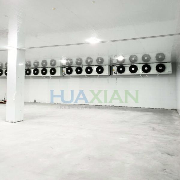 500 Sqm China Industrial Food Storage Walk in Freezer Refrigeration Room