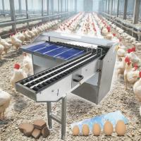 Máquina automática de clasificación de huevos 220v/380v / Máquina de clasificación de huevos comercial para la venta