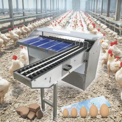 220v/380v Automatic Egg Sorting Machine / Commercial Egg Grading Machine For Sale