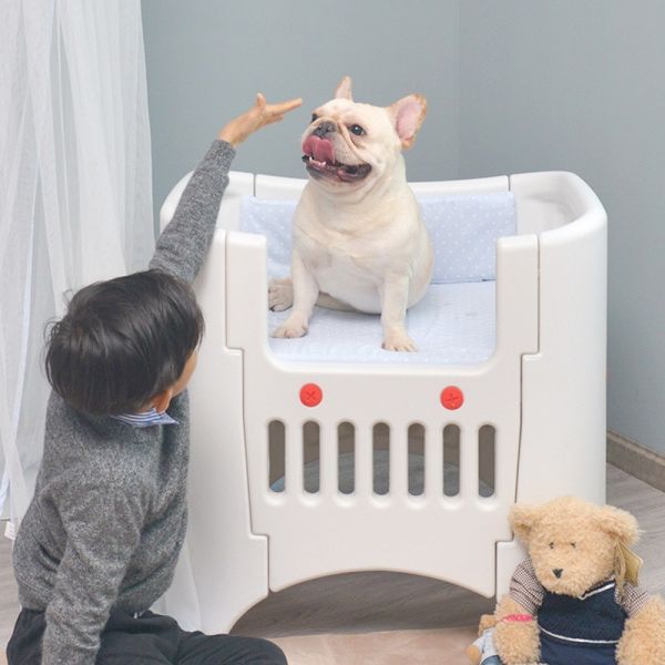 Кровать собаки Xl пластиковая для кровати Breathable нарушителей спокойствия многоцелевой износоустойчивой и укуса доказательства любимца на все сезоны