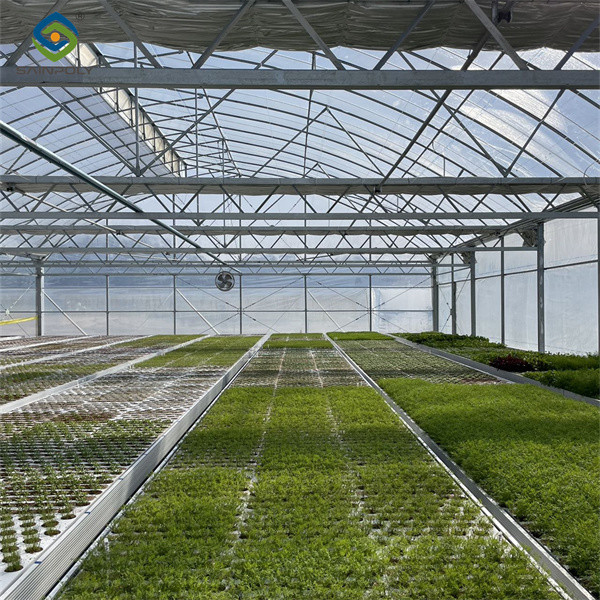 Serre de culture de légumes multifonctionnelle Serre de tunnel commercial