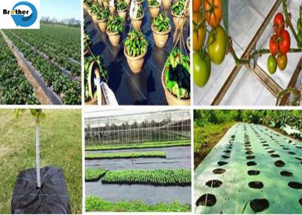 Black Mulch Mat, Landscape Fabric, Membrance Ground Cover, Weed Control Fabric