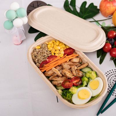 Caixa de embalagem de polpa compostável 100% biodegradável para salada