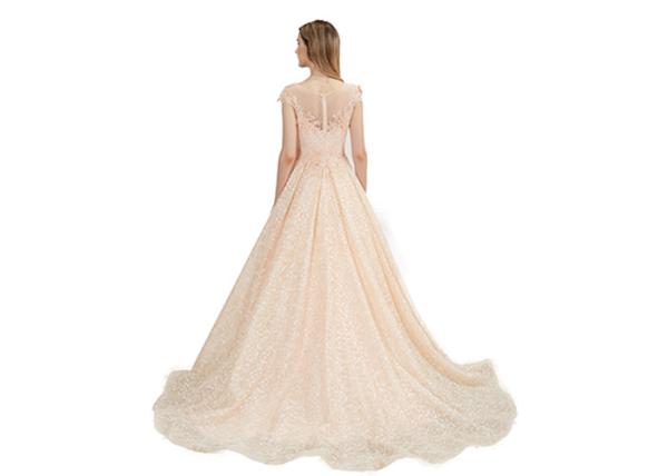 Back Zipper Design Illusion Ladies Evening Dresses Light Yellow Color