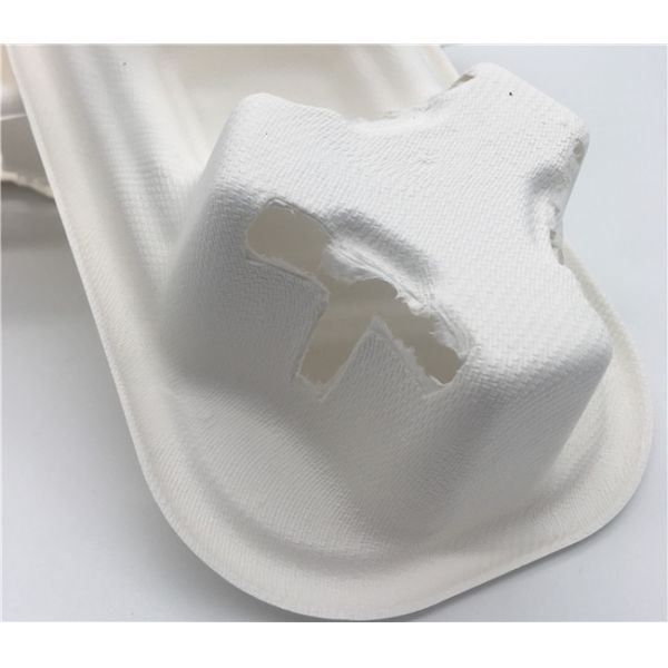 Сахарный тростник 218x110x47mm поднос несущей напитка 2 отсеков