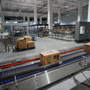 Fully Automatic Robotic Single Column Palletizer for Boxes Unloading