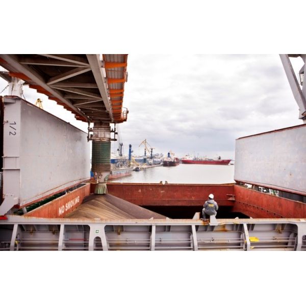 Одобренные обслуживания осмотра посредника, документация осмотра посредника борт