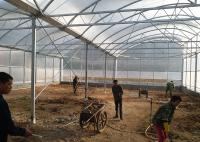 Industrial Flower Commercial High Tunnel Greenhouse With Fixed Roof Windows
