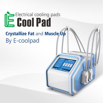 Salão de beleza Euqipment da máquina CRYO de Cryolipolysis EMS para a perda de Weilght com 4 punhos