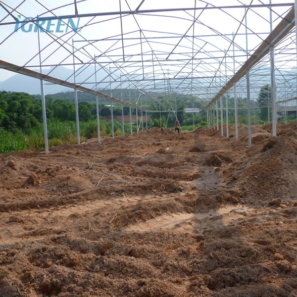 Коммерческая оранжерея для орхидей с каркасом из оцинкованной стали для профессиональных цветоводов