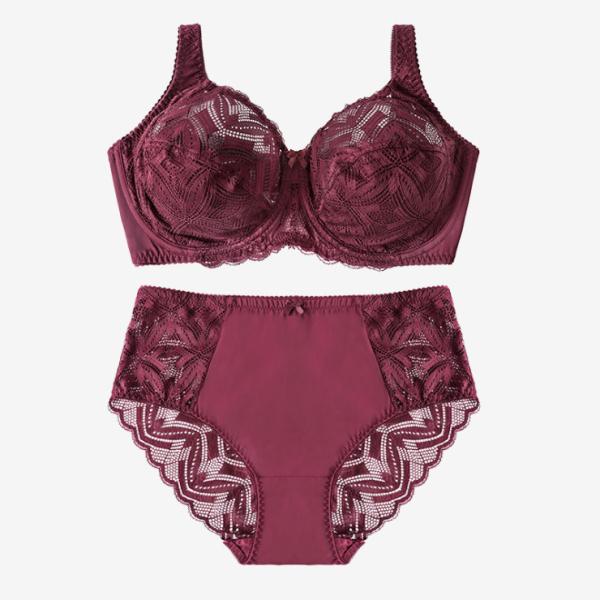Sexy Lace Ladies Panty And Bra Sets Plus Size Thin Breathable Woman Underwear