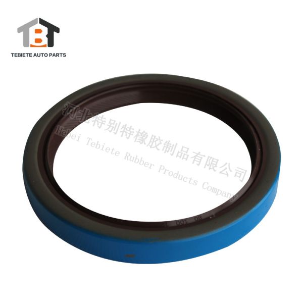 OEM 12011821B FKM Rubber Crankshaft Oil Seal For Scania Truck 80x100x12mm