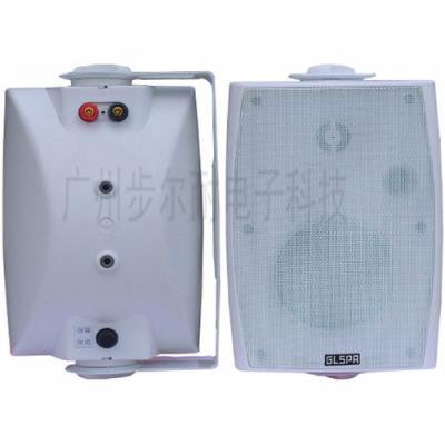 Meeting Room Wall Hanging Speakers Allows Easy Parallel Connection Of Multiple Speakers