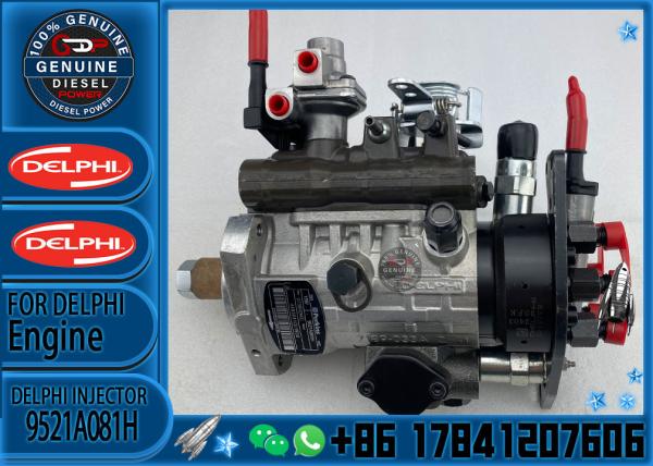 Diesel Fuel Pump 9521A081H 449364128283387 Pump for Perkins E320D2 Excavator injection pump 9521A081H