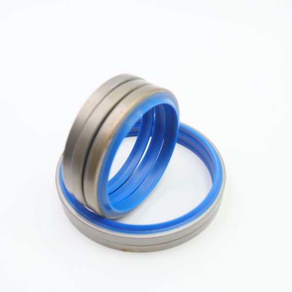 Blue DBKI Silicone FFKM TC O Ring Oil Seal High Temperature Resistant