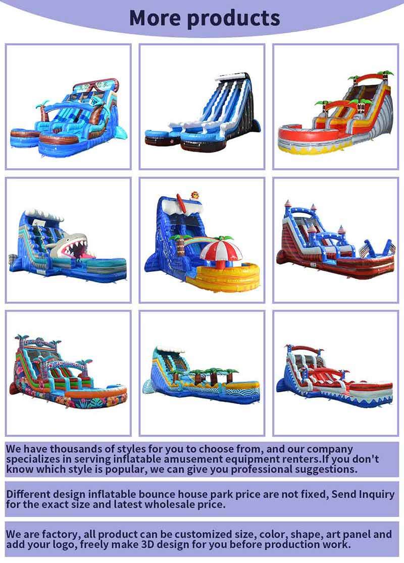 Commercial Grade Inflatable Dolphin Water Slide Dual Lane with Splash Pool for Party Rental