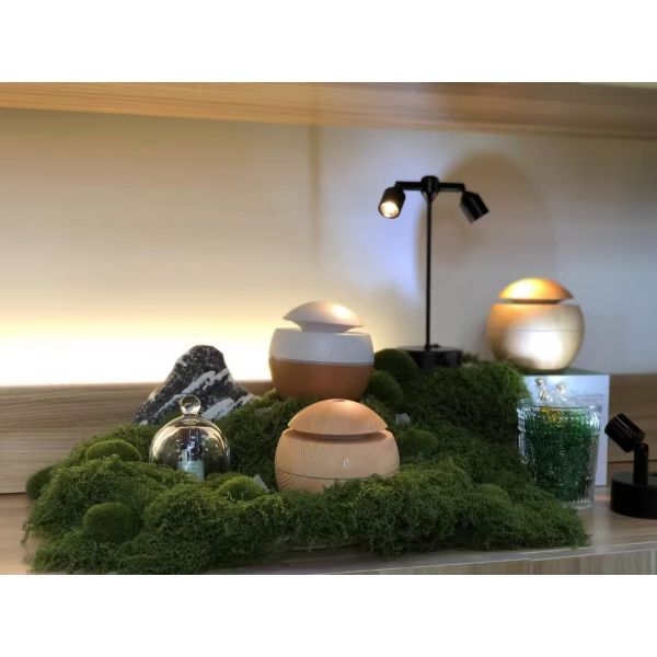 Advanced Ultrasonic Technology Diffuser For Consistent Mist Dispersion And Oil Preservation