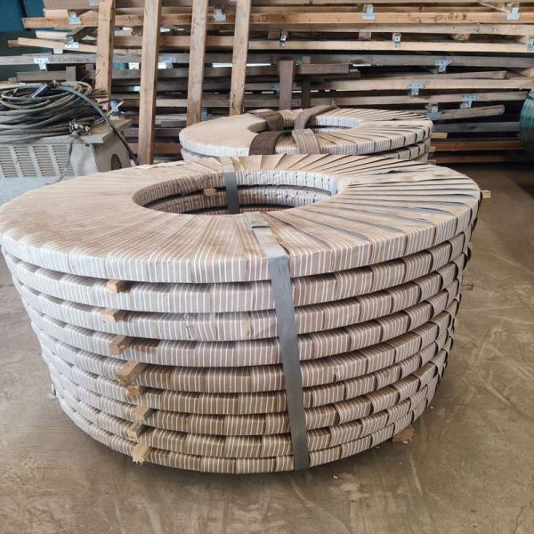 Cold Rolled Zinc Coated Galvanized Steel Strip for Industrial Processing