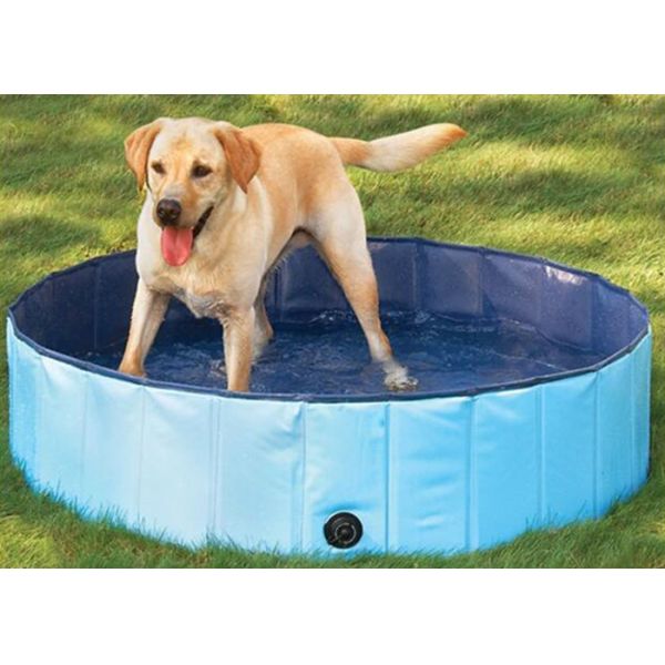 Лягушатник собаки