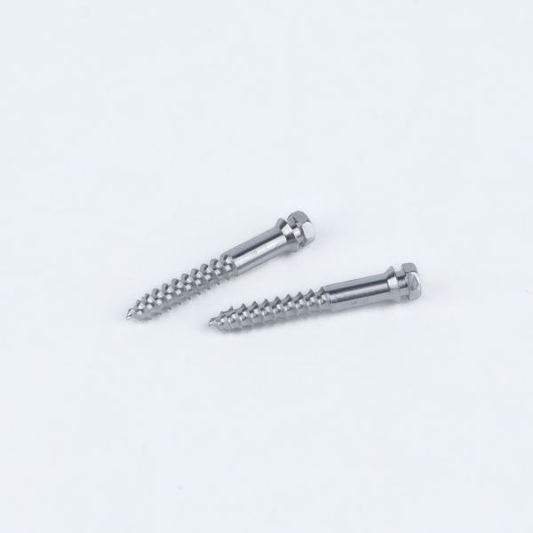 2-Pack Orthodontique TAD MSE Titanium Mini vis d'application primaire Micro-implant assisté par une expansion rapide du palais MSE