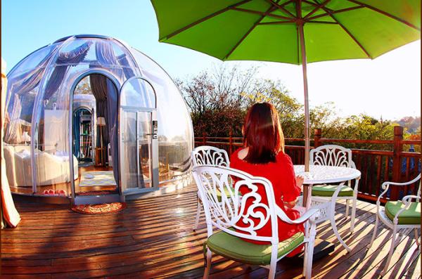 2m Dia Transparent Dome Bubble Tent Luxury Glamping House