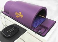 Purple Negative Ion Balls with Black Controller for Body Pain Relief
